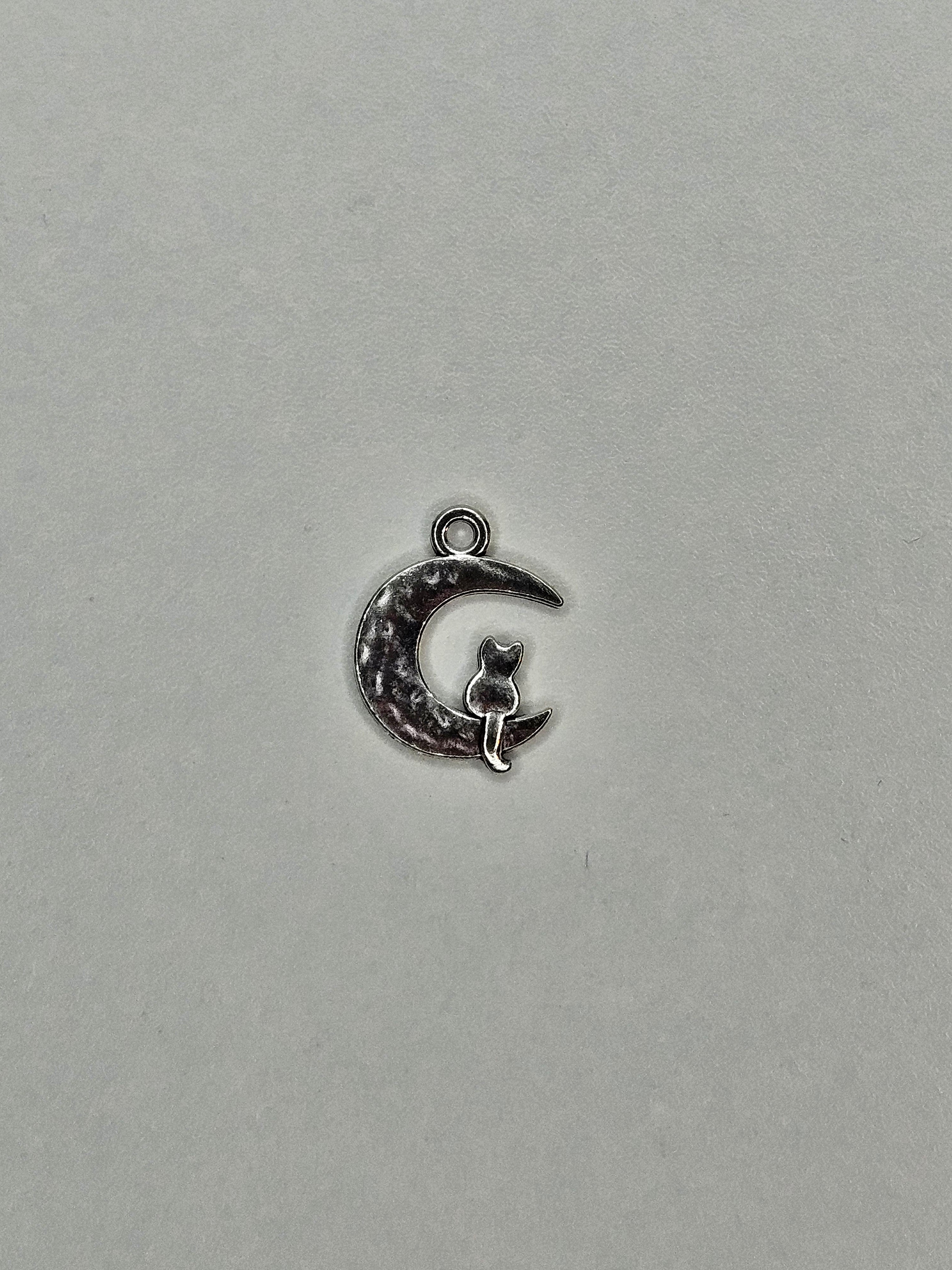 Moon + cat pendant silver 001