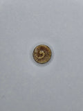 Pendentif coquillage 001