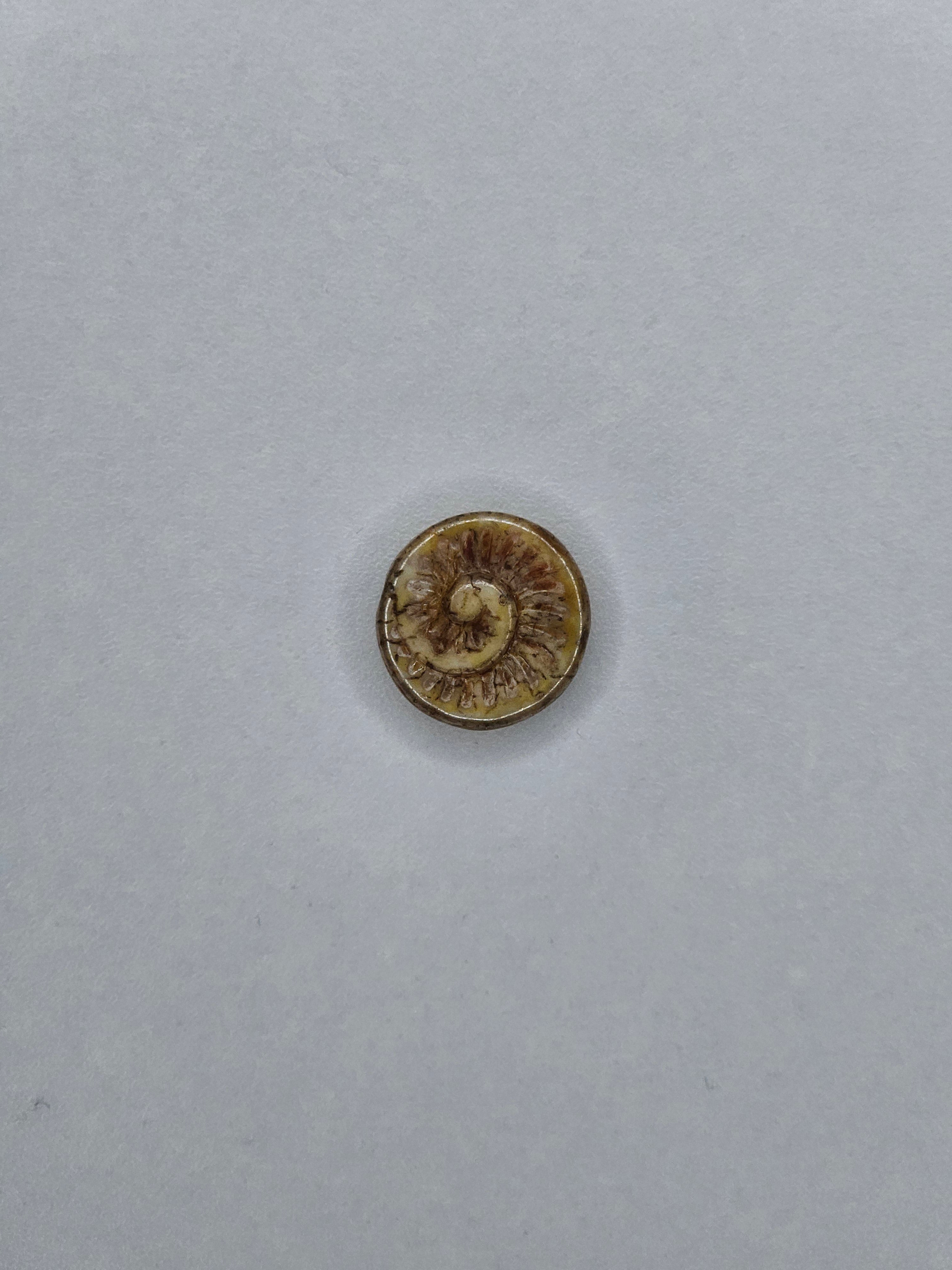 Shell pendant 001